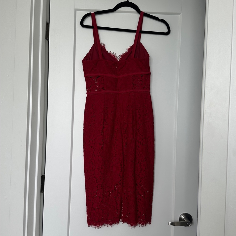 Express Lace Dress - Picture 4 of 4
